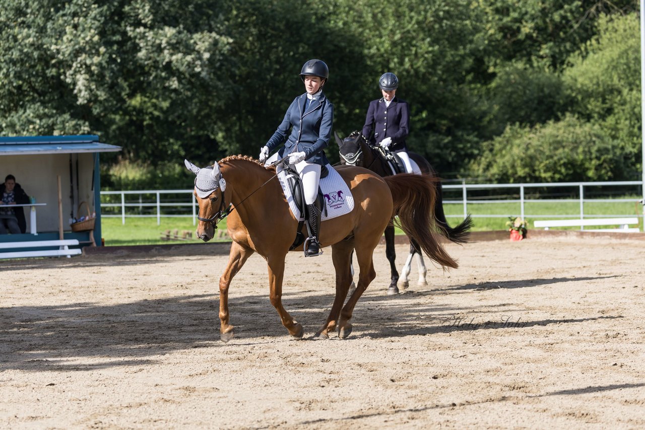 Bild 377 - Pony Akademie Turnier